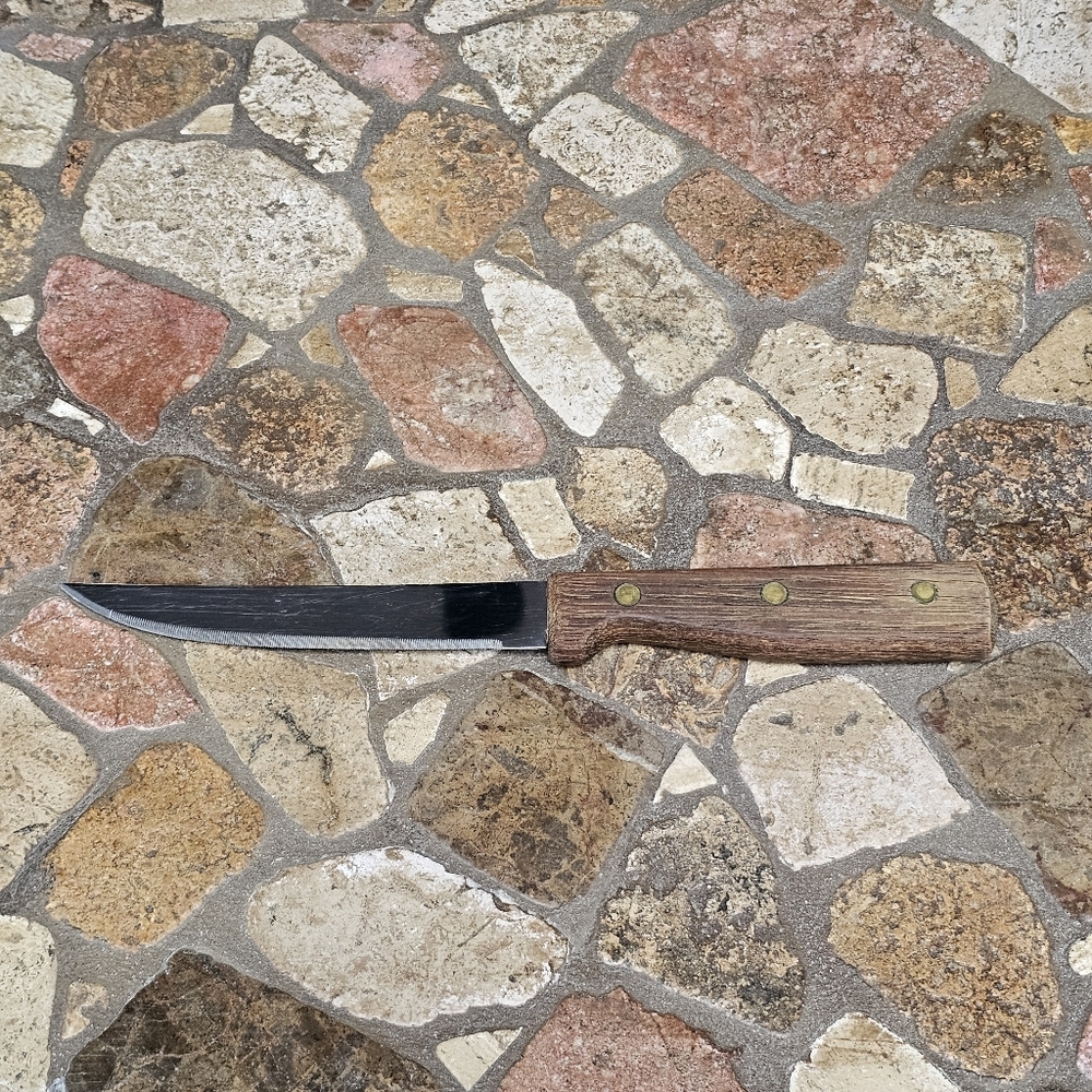 Vintage Old Homestead Lifetime Cutlery Stainless Steel Kitchen Table Knife